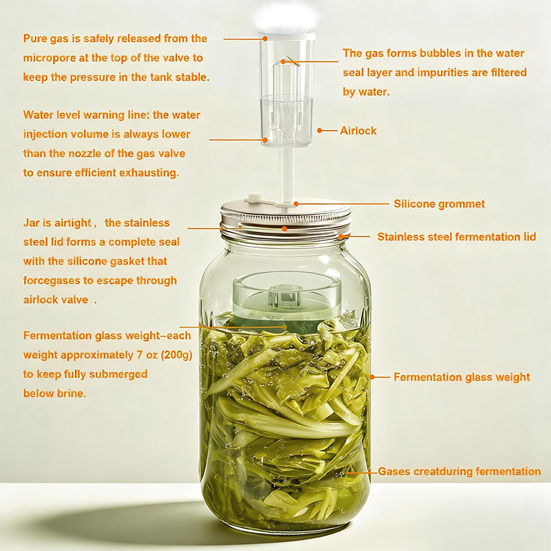 Fermentation Crock - 발효 키트, 입구가 넓은 메이슨 자(병)