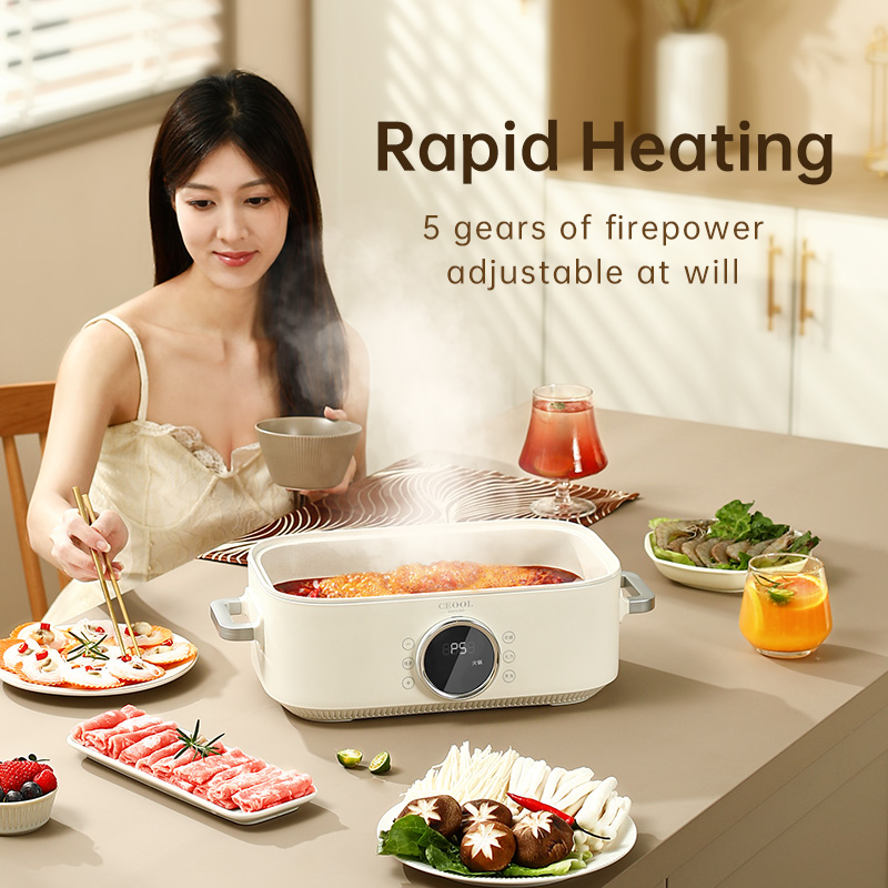 10L 3-in-1 전기 찜기 - 다기능 요리 냄비(이 - Home Cooking Restaurant 리뷰 및 가격
